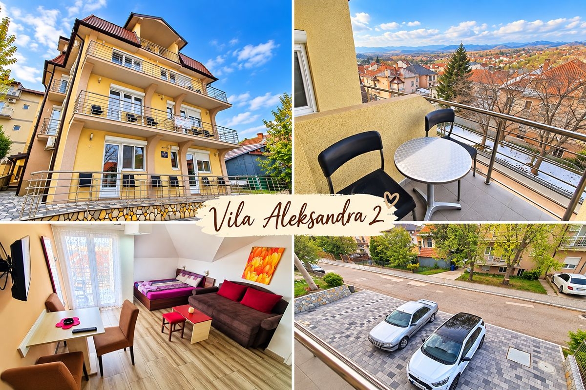 Нова Година в Сокобаня, Сърбия: 3 нощувки на човек в Vila Aleksandra, 3 закуски, обеди и вечери, с жива музика и неограничено количество напитки в ресторанта на хотел BANJICA, снимка 6