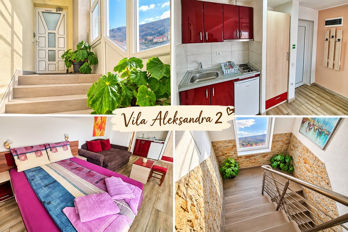 Нова Година в Сокобаня, Сърбия: 3 нощувки на човек в Vila Aleksandra, 3 закуски, обеди и вечери, с жива музика и неограничено количество напитки в ресторанта на хотел BANJICA, снимка 5