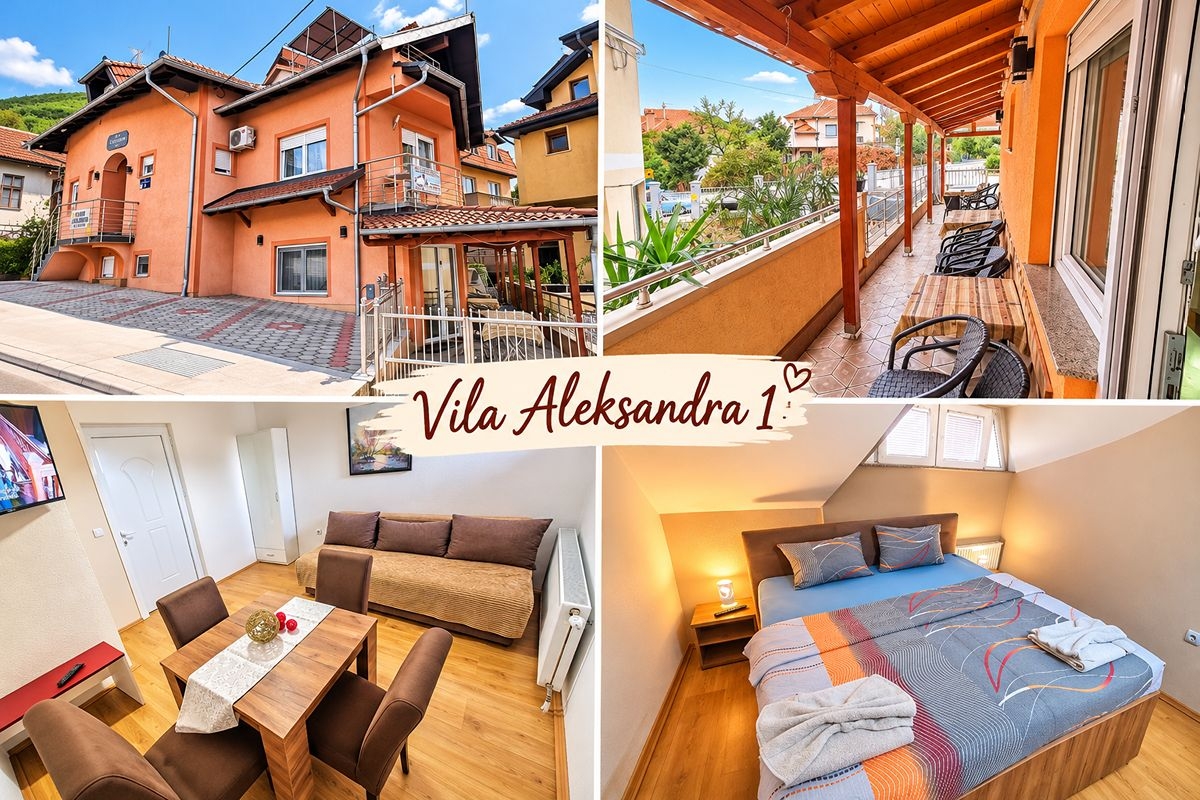 Нова Година в Сокобаня, Сърбия: 3 нощувки на човек в Vila Aleksandra, 3 закуски, обеди и вечери, с жива музика и неограничено количество напитки в ресторанта на хотел BANJICA, снимка 4