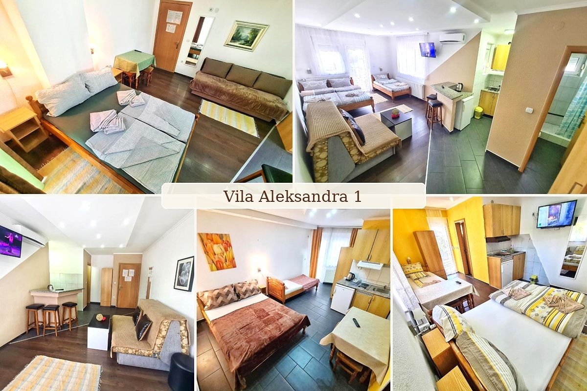 Нова Година в Сокобаня, Сърбия: 3 нощувки на човек в Vila Aleksandra, 3 закуски, обеди и вечери, с жива музика и неограничено количество напитки в ресторанта на хотел BANJICA, снимка 3