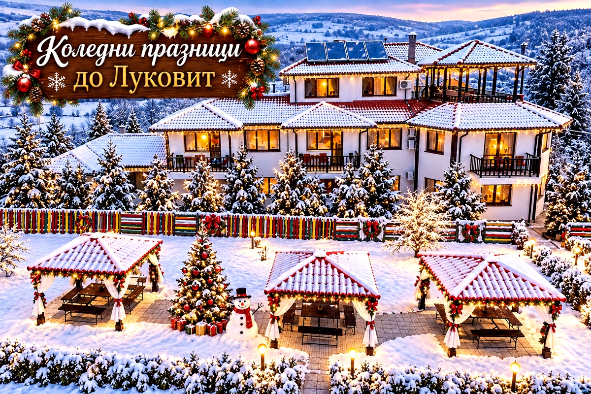 Къща за гости Миша, Луковит