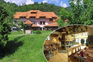 Фестивал на сушеницата в Цариброд, Сърбия: Транспорт + нощувка на човек със закуска и вечеря с музика на живо в Етно село Срна