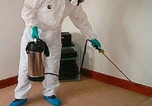 Обезпаразитяване на жилище с площ до 120 кв.м. за теорията на цяла София само за 16.90 лв. от фирма Дъга