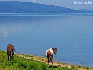 Релакс и прохлада на брега на яз. Искър. Нощувка със закуска и вечеря* в Иструм Парк