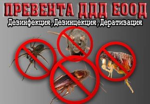 50% отстъпка за УНИЩОЖАВАНЕ НА ВРЕДИТЕЛИ ПО ДОМОВЕТЕ (хлебарки, мравки, бълхи, мухи, дървеници, комари и др.) само за 17,50 лв. вместо 35 лв. от “Превента ДДД” ЕООД.